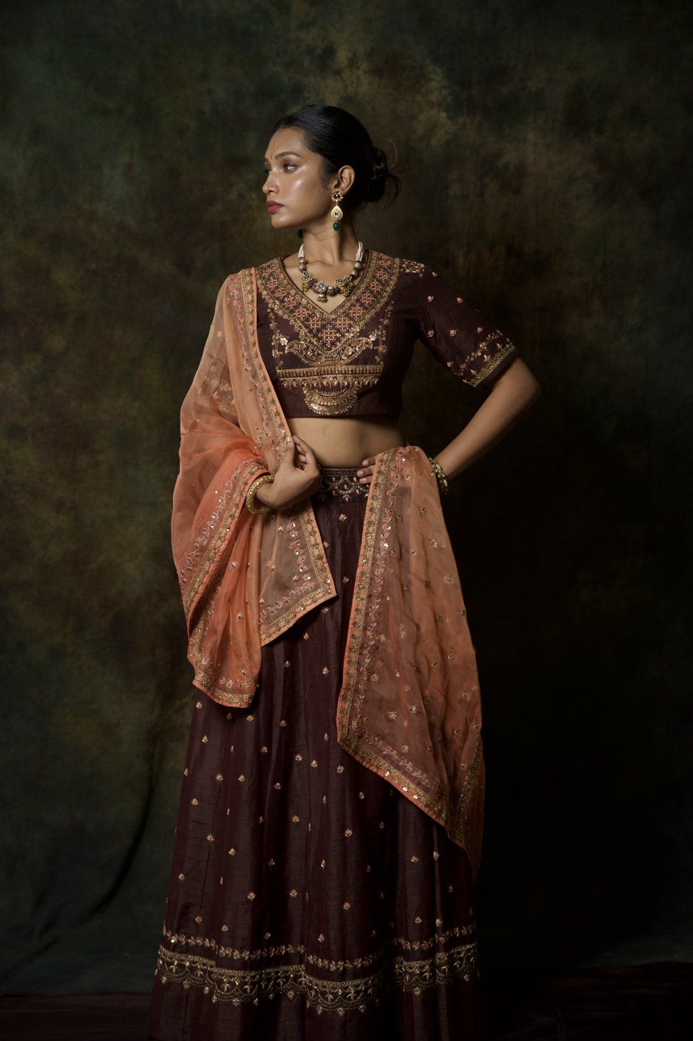 Coffee Brown Zardosi Lehenga - view 3